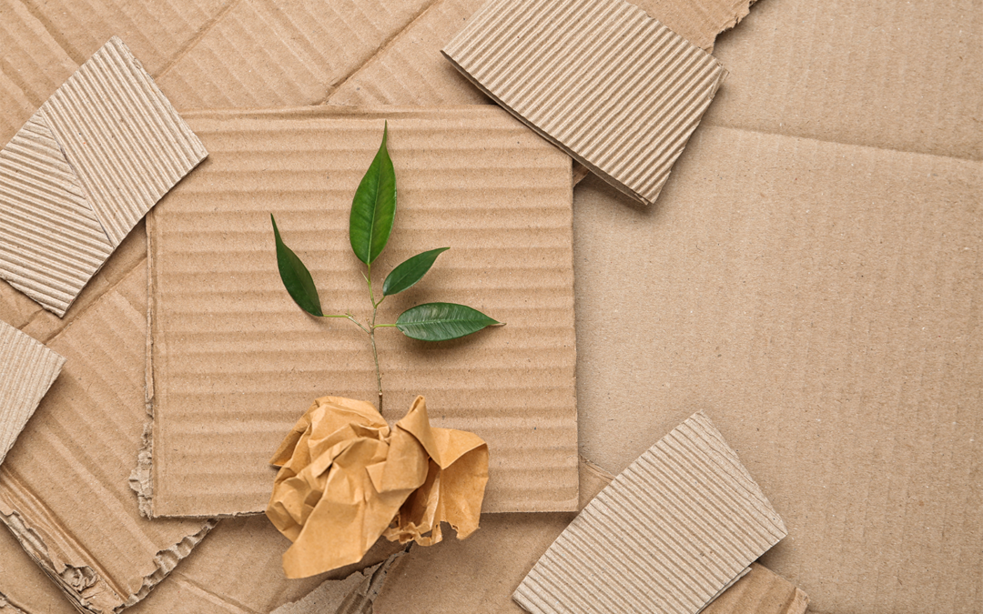 Sustainable Packaging Options for Consumer Goods