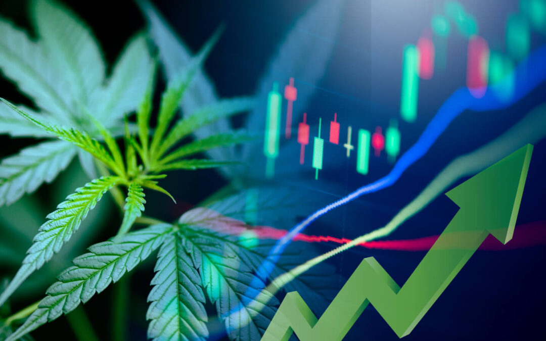 Cannabis Purchasing Trends To Keep in Mind for Your Product